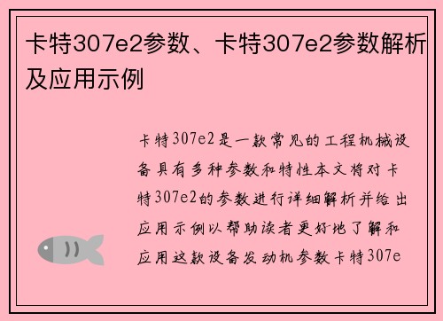 卡特307e2参数、卡特307e2参数解析及应用示例