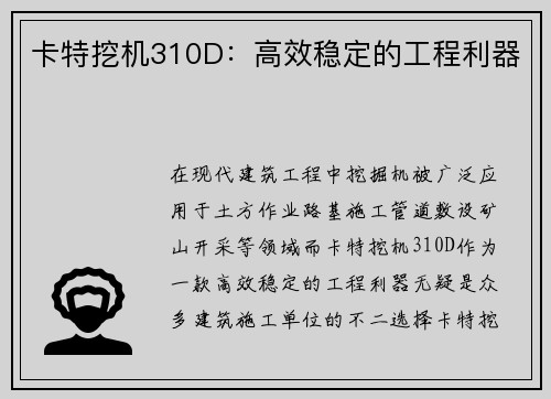 卡特挖机310D：高效稳定的工程利器